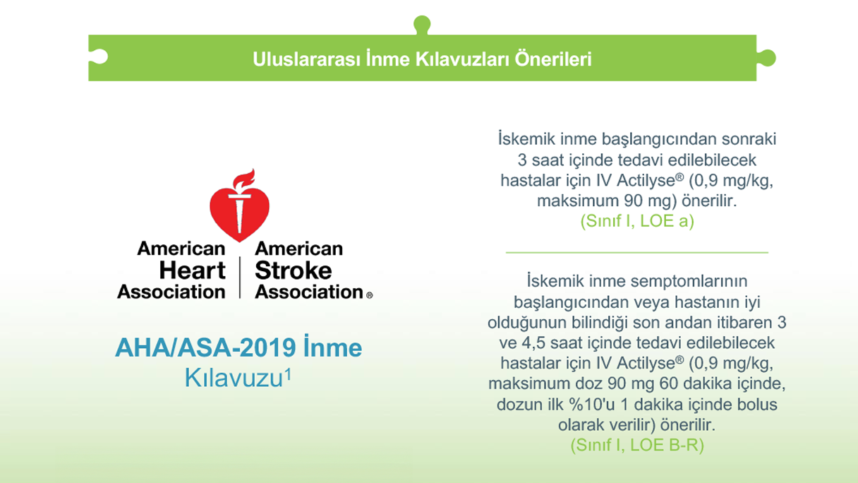 Uluslararası İnme Kılavuzları Önerileri