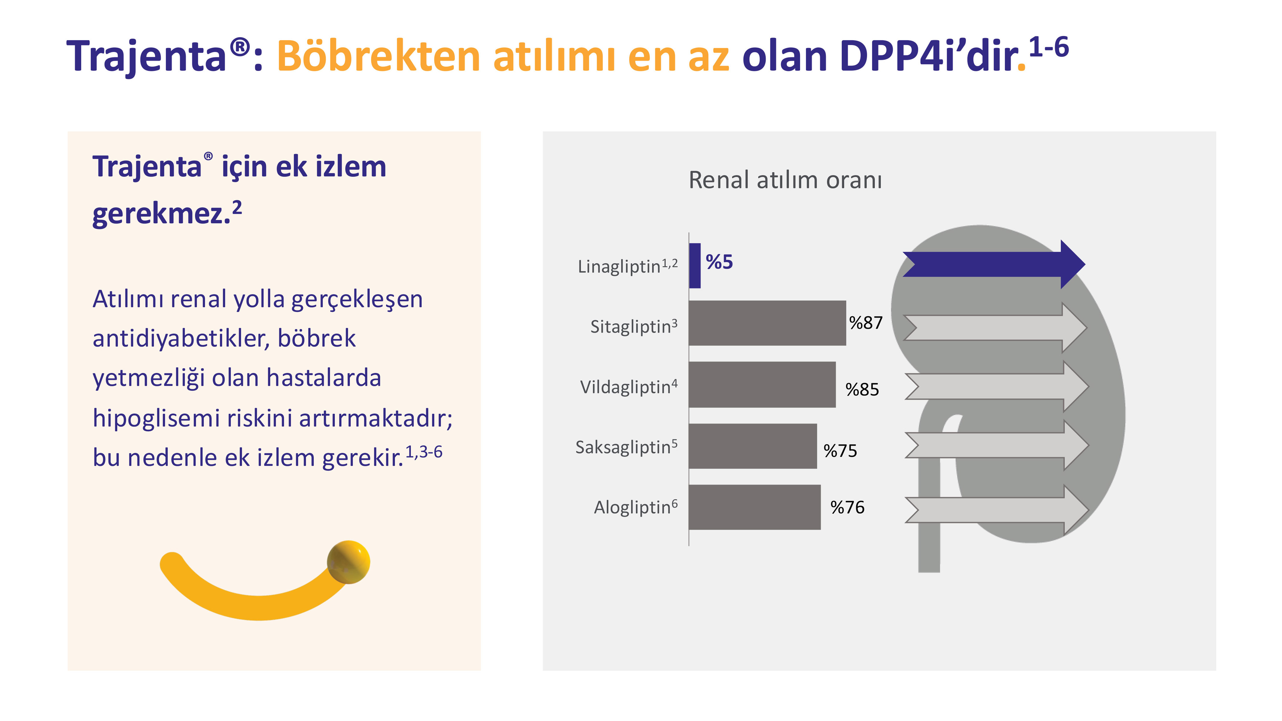 Böbrek Atılımı En az Olan DPP4i