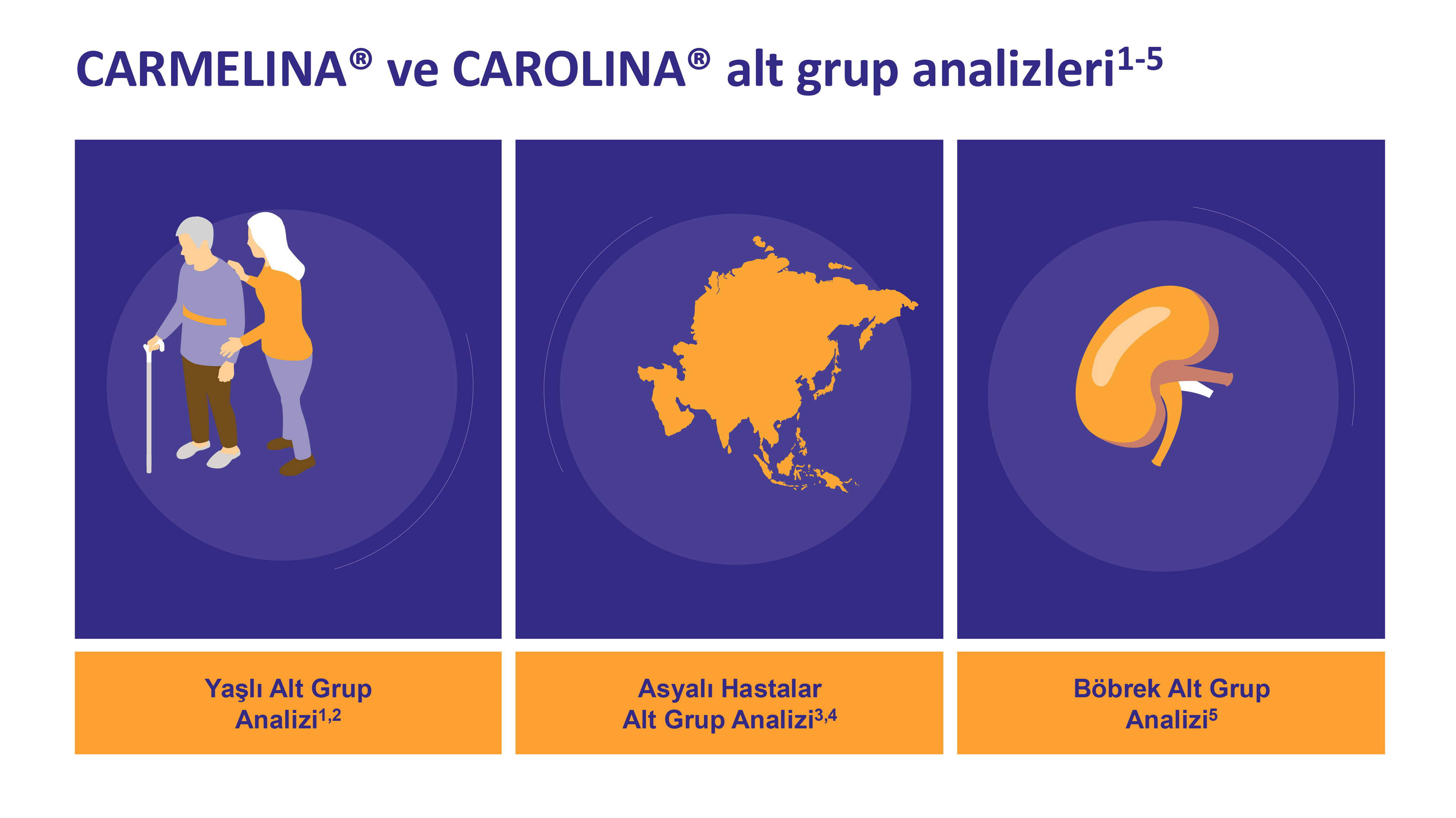 CARMELINA® ve CAROLINA® alt grup analizleri