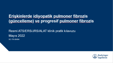 GÜNCEL PPF KILAVUZUNUN ÖZETİ_0.png